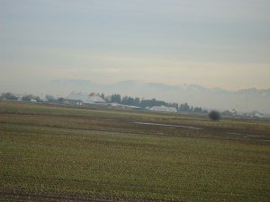 SNOWY 13 2013-01-22 004