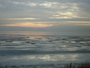 SNOWY 13 2013-01-22 014