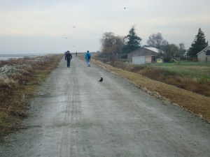 SNOWY 13 2013-01-22 015