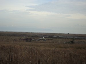 SNOWY 13 2013-01-22 019