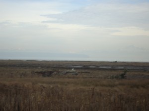 SNOWY 13 2013-01-22 020