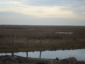 SNOWY 13 2013-01-22 024