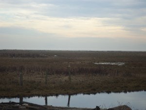 SNOWY 13 2013-01-22 025